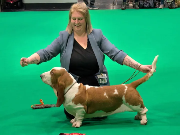 Hampton Hounds