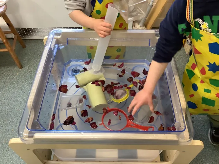 15dd1a9a-6ee3-4599-9f18-D84d07156459