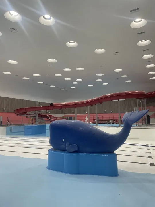 Northgate-Whale-Resized