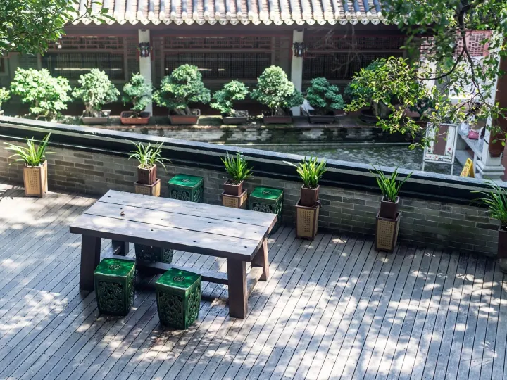 Tranquil space with plants