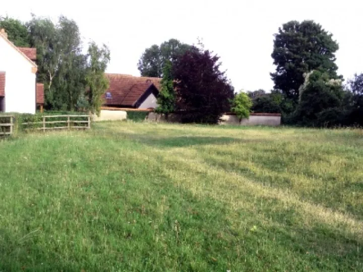 Community Orchard 01