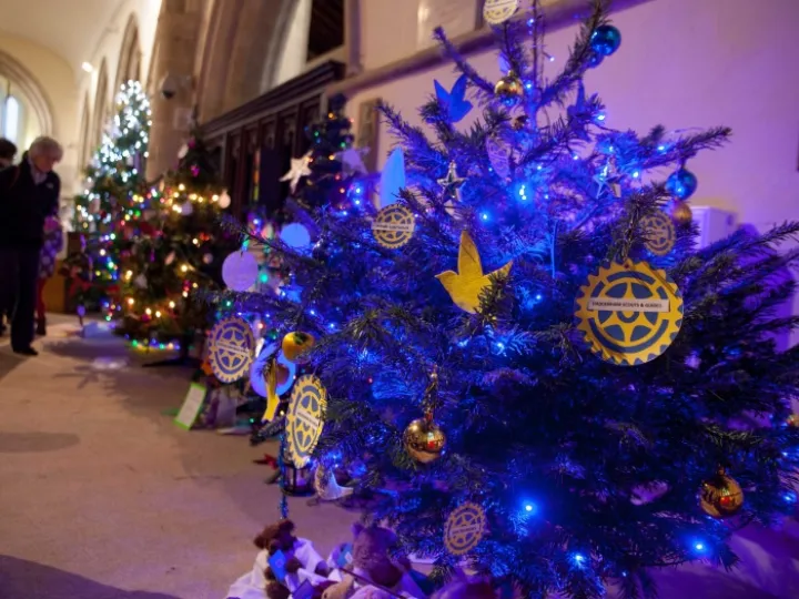 Xmas Tree Festival 02