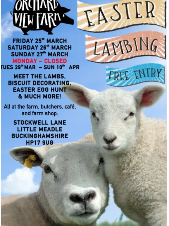 EASTER POSTER SCREEN SHOT