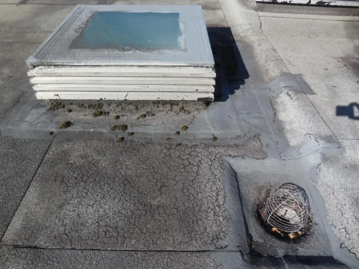 Tarvin Primary School Roof (1)