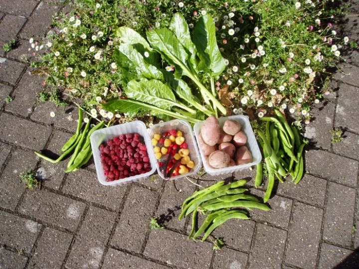 Autumn 39 s Gifts (1)