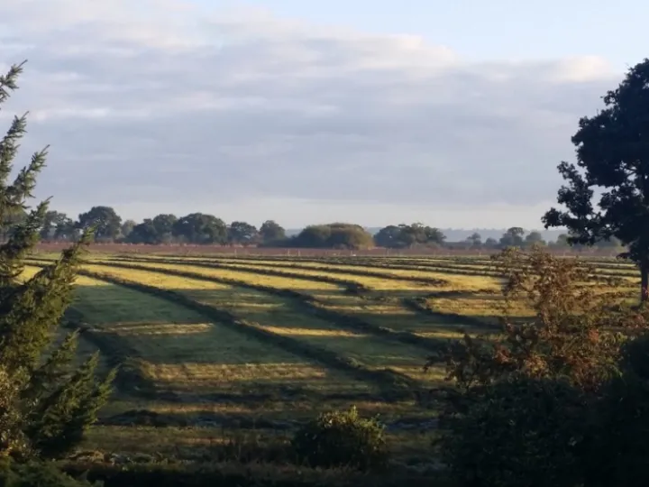 23f750b8669f420689d6b668a6730eea (4)