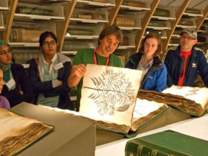 su-night-leafing-past