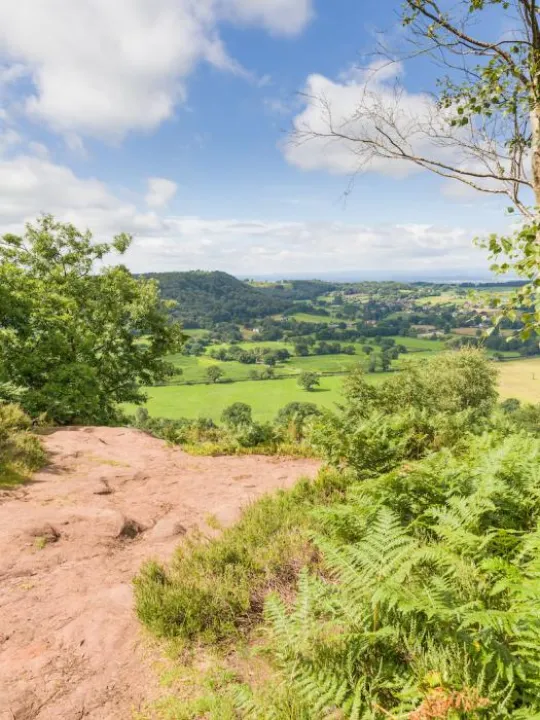 Sandstone Trail view from Bickerton Hill 2
