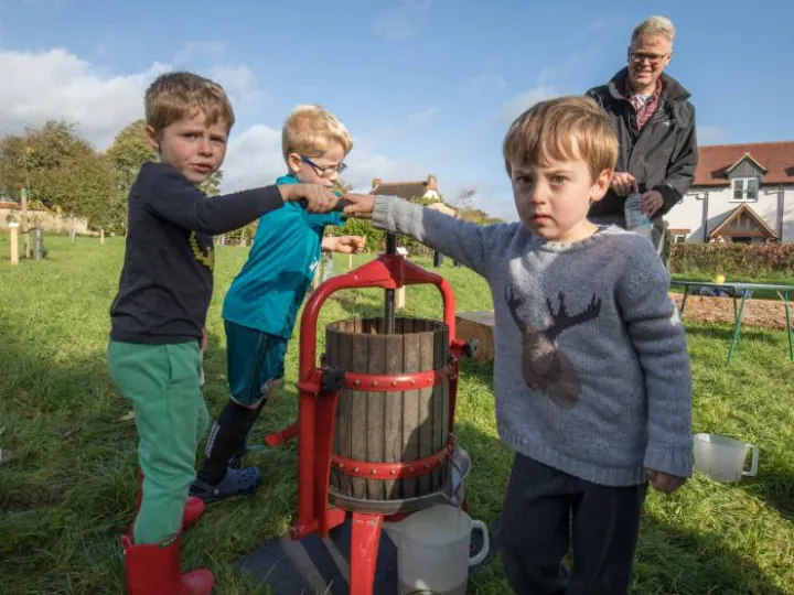 Pressing Apple Pulp with Child Labour!