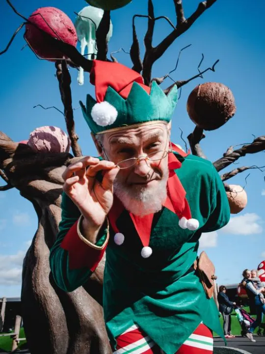 Ice Cream Farm Elf adventure