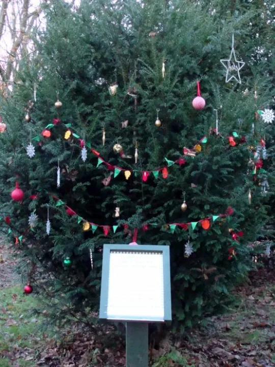 TWT Christmas Tree 2017 With Rules Notice