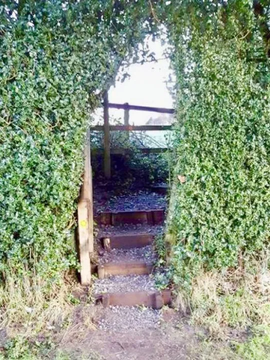 Footpath
