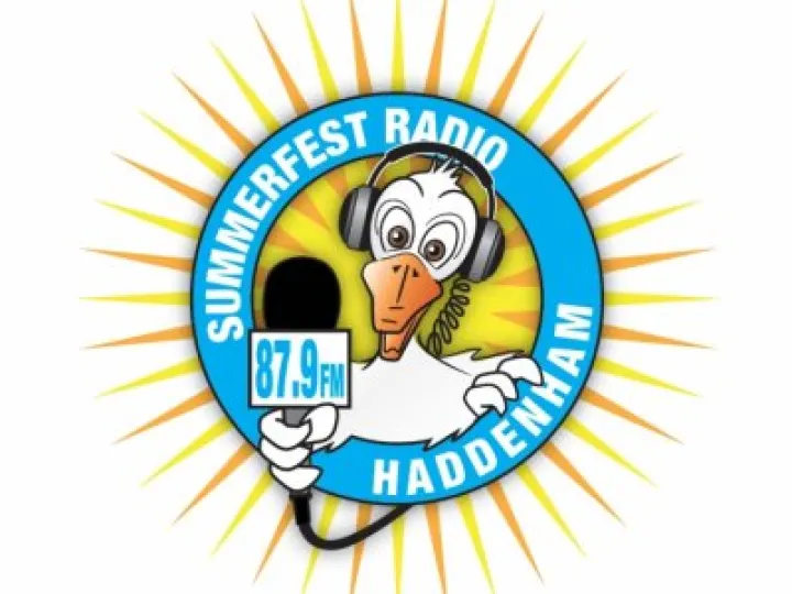 Summerfest Radio Duck