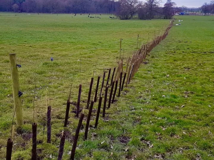 Hedge Planting 2018 v2