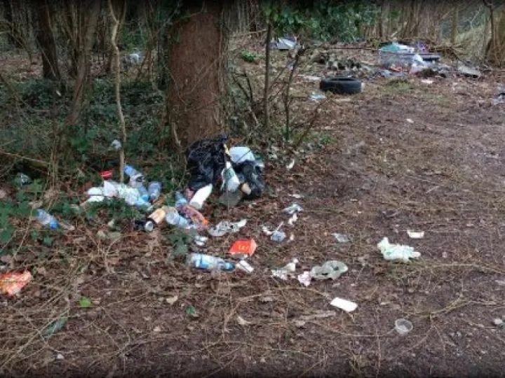 modern-day-vista-during