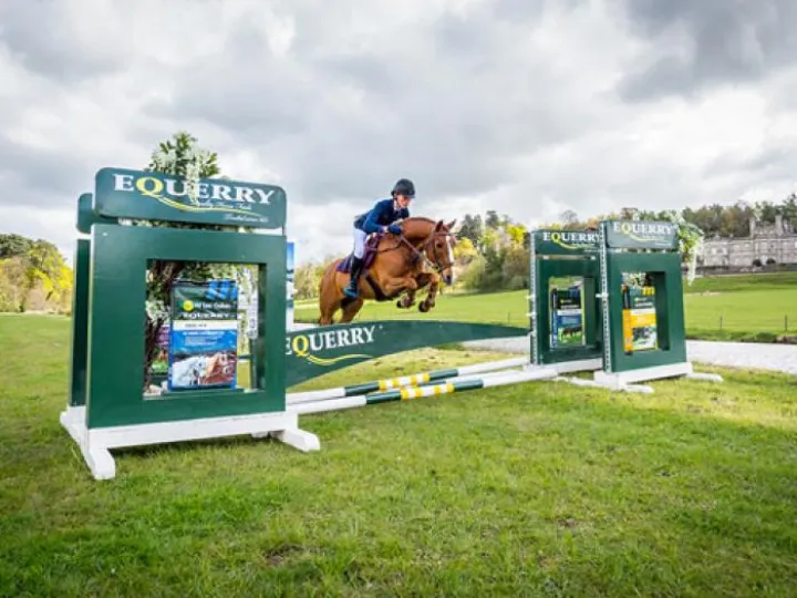 Bolesworth Show-3
