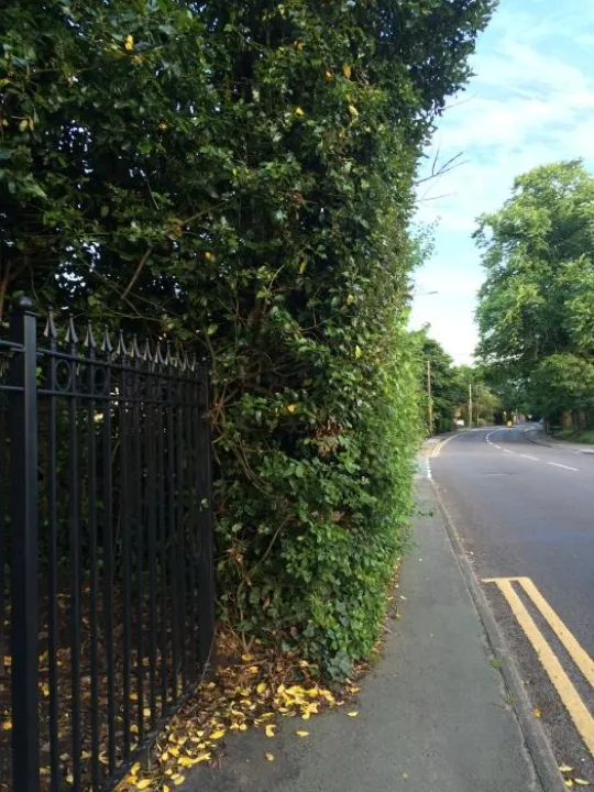 847349-0-full-M186189