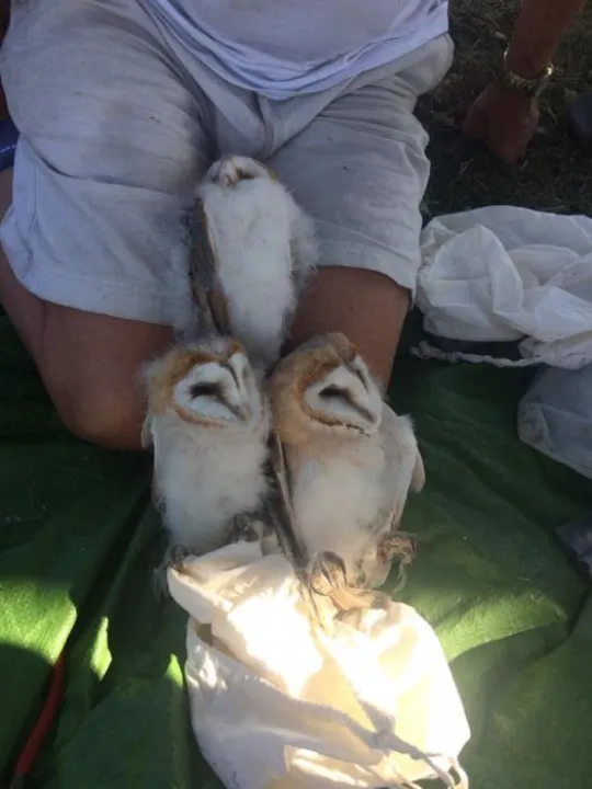 9319d323-e2b7-49a5-a1e4-c03589121ed9