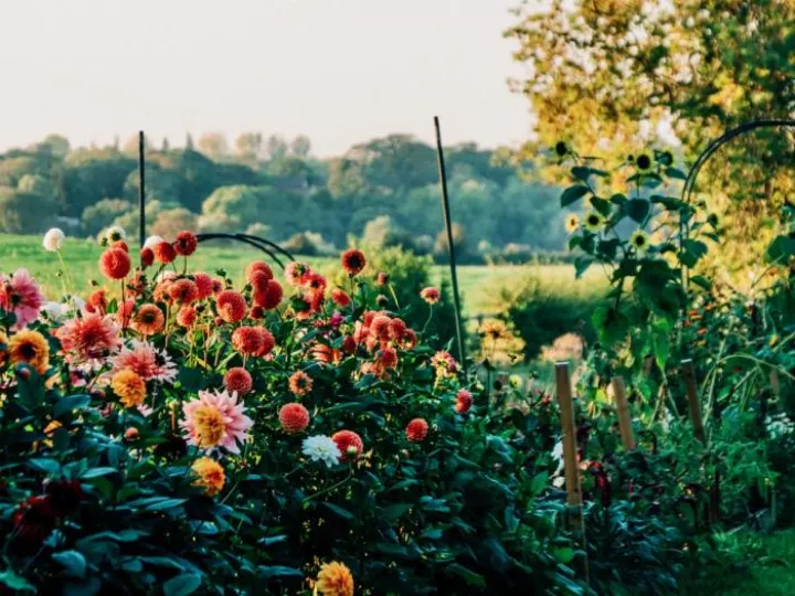 Tucking up the garden