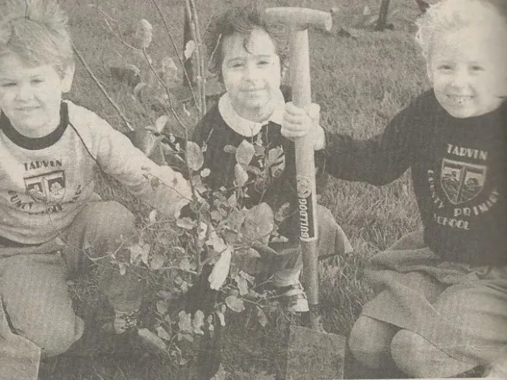 Planting Trees Scan_20181101