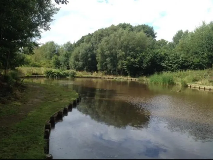 Cloggers Pool_190212