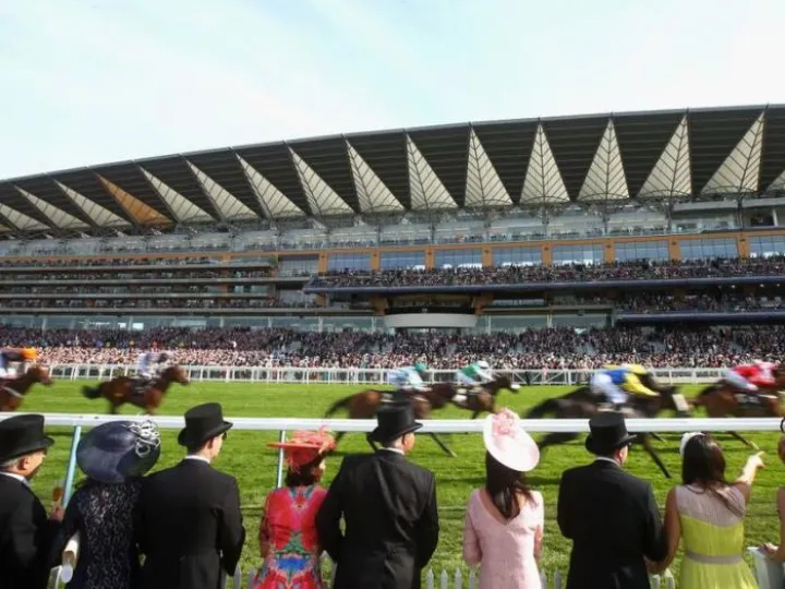 Ascot Race night