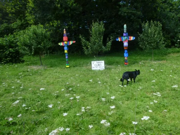 Totum Poles in the Woodland P1030766[35788]