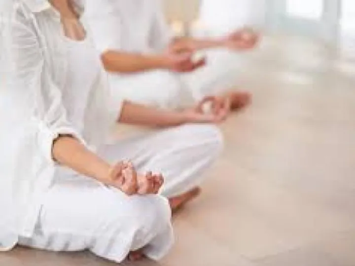 Mindfulness Workshop