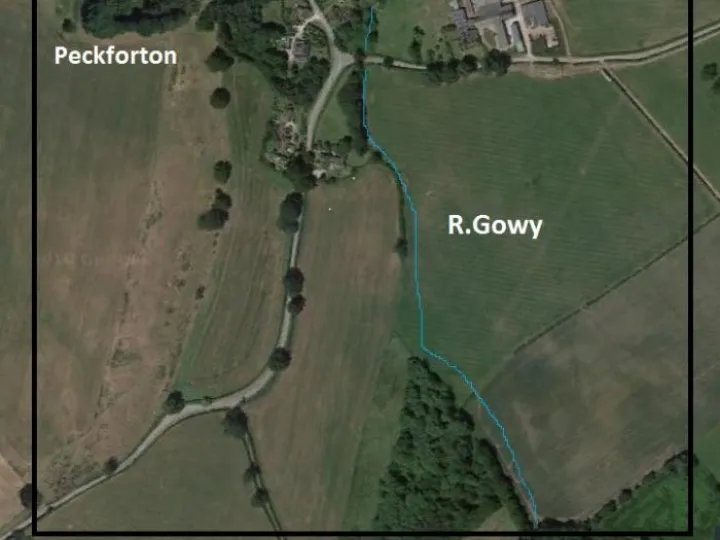 Image: 1km Showing Gowy