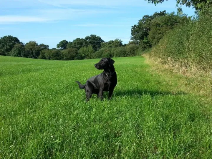 Image: 20190902_084444