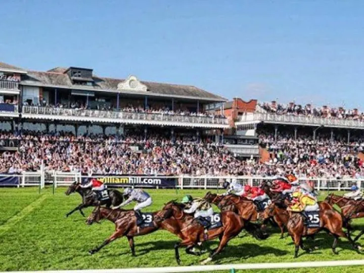 angel ayr gold cup victory