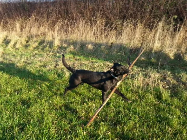 Image: 20191215_094947