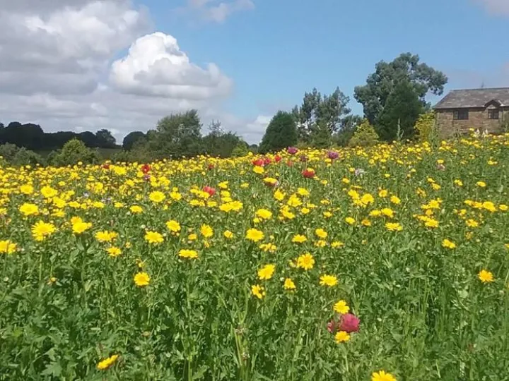 Image: 19598905738422543031908707702844164118126n-M262357