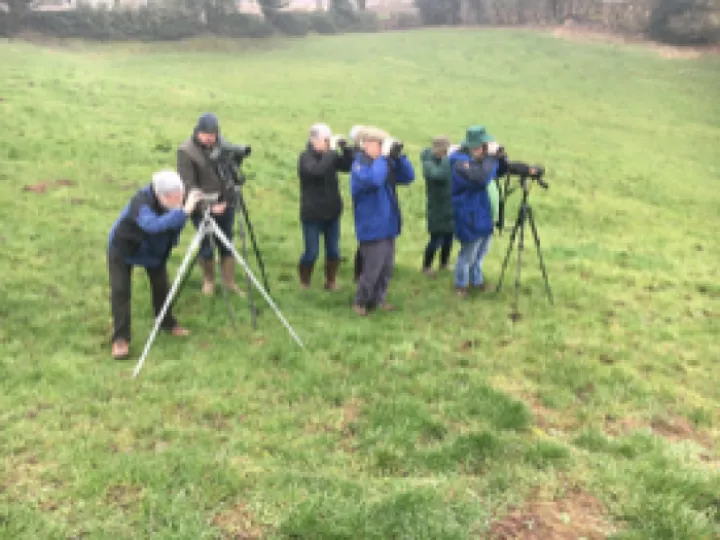 AWEG after Peewee Flycatcher