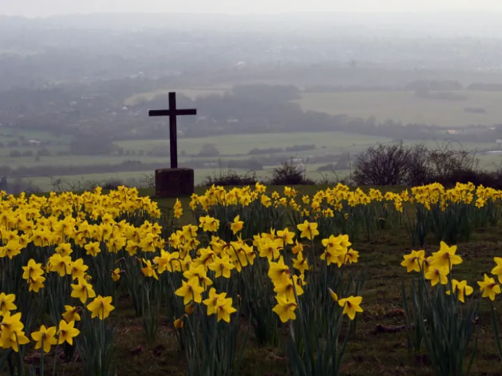 Cross & Daffodils