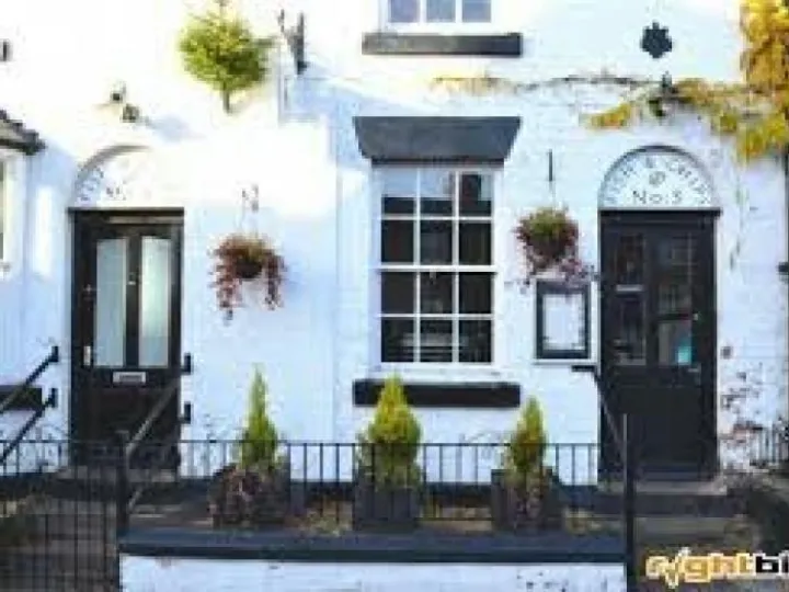 fish-chips-no3-M442482