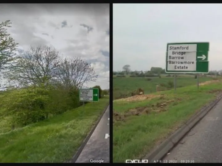 Image: 0_more-trees-gone