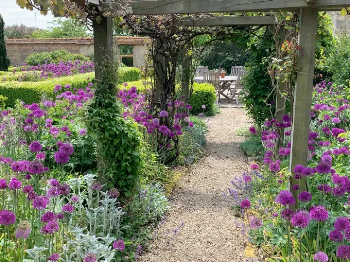 Lizzie & David Banister's Garden