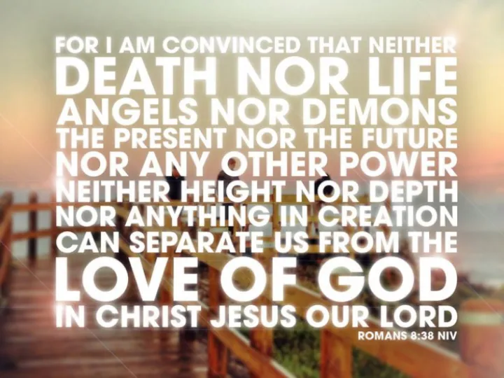 Image: 2BDC98E2-4FE0-4F4D-9DC4-33522380EA9E