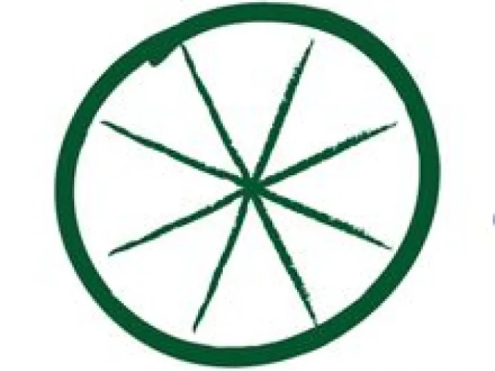 Bike Wheel