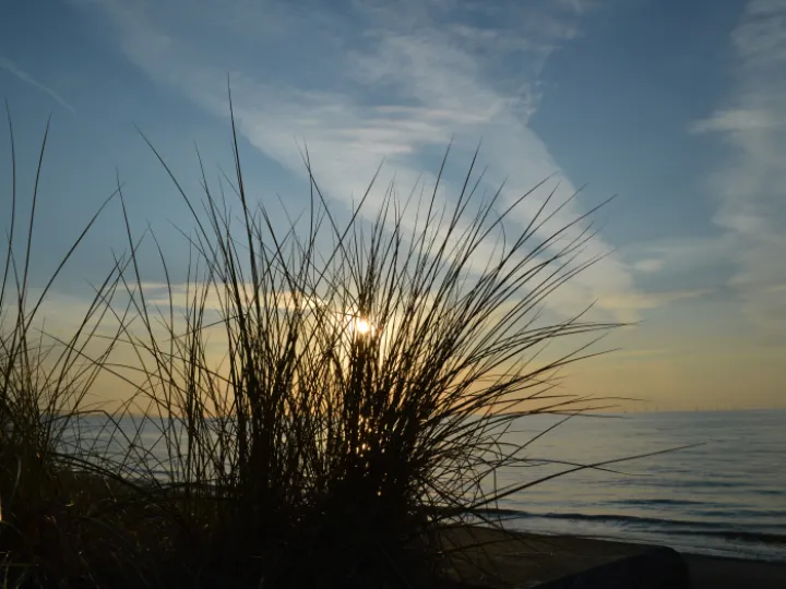 francis-henry-8feNaVmiIfk-unsplash