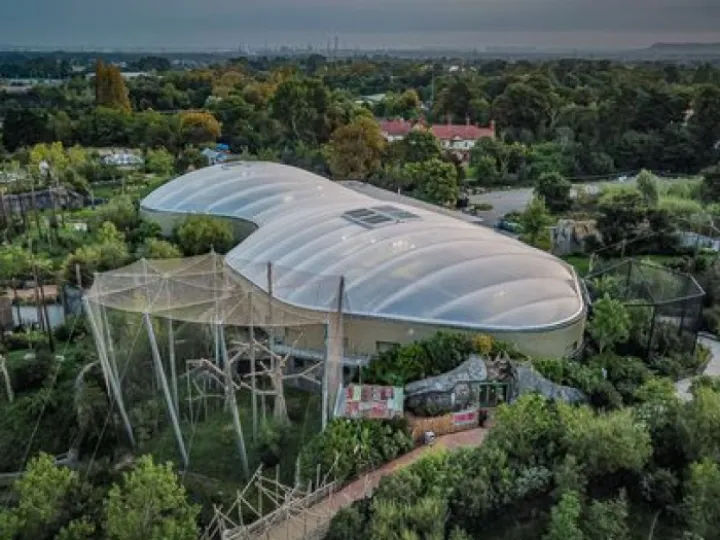 Image: 0_MonsoonDP-1jpgew