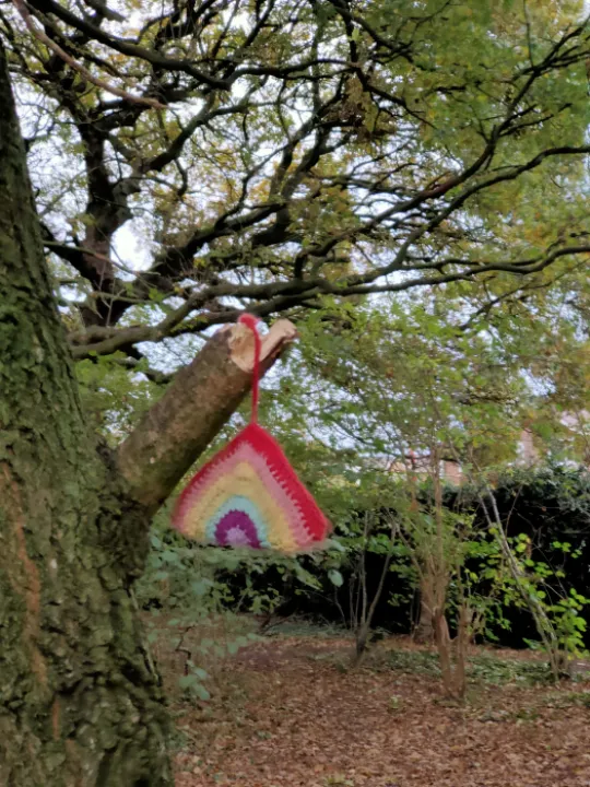 TCW Lost item 11th Nov 2020 IMG20201111155835