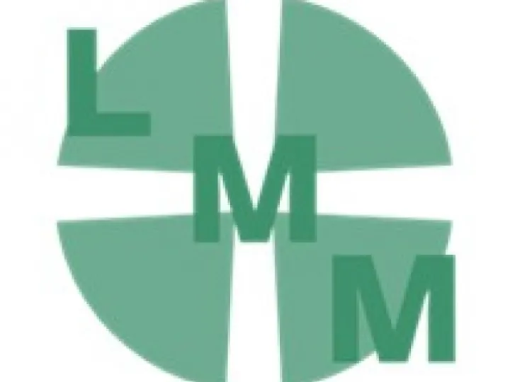 lmm