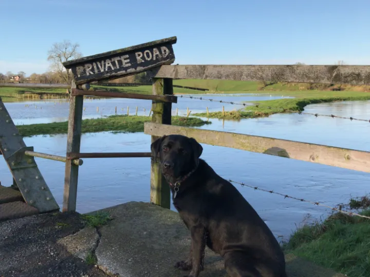 DC5BFE02-BAF6-47CE-AB07-6BA7DABB662C