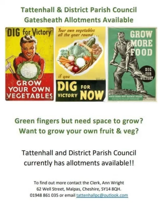 Allotment picture (002)