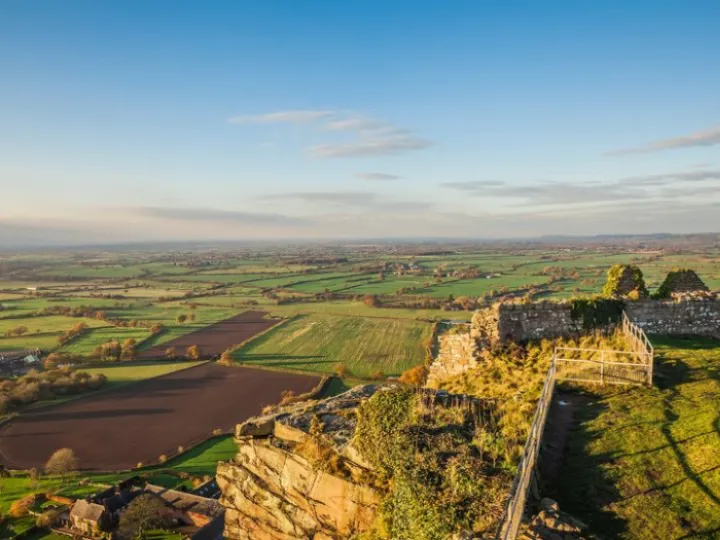 Image: 165183466_5469530296420360_5509860119714324001_o