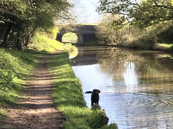 Image: 95779B32-2004-46C5-95E5-BA57120D607C