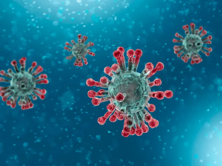 Coronavirus