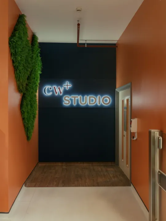 Chelsea and Westminster Hospital 1